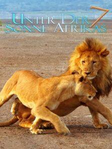 走进非洲7:拂晓之狮