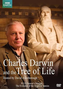 达尔文和生命之树